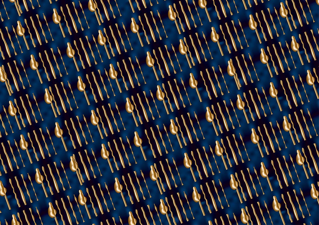 stereoscopies-barreauxdorfdbleunoir