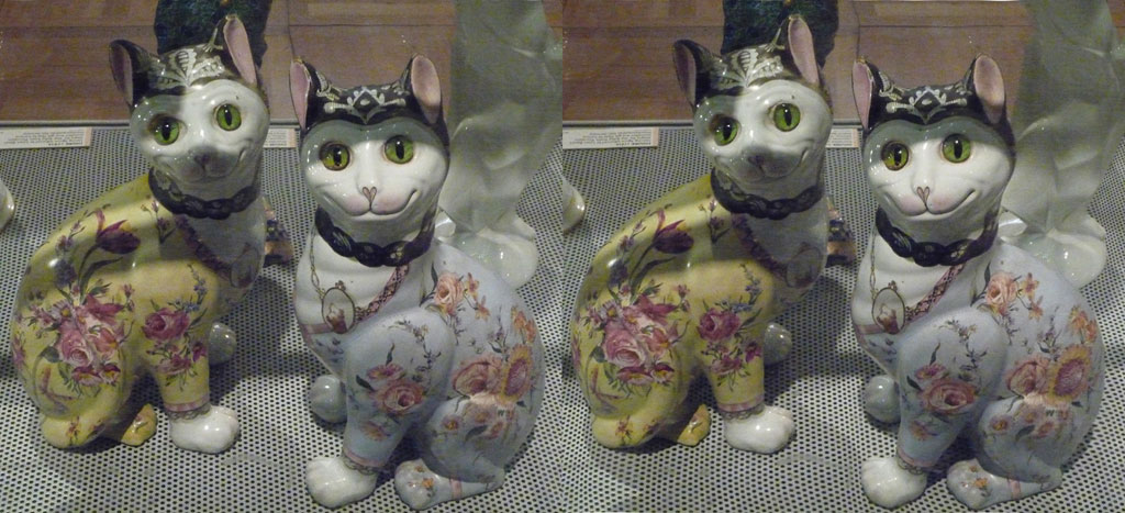 stereoscopies-chatGalle