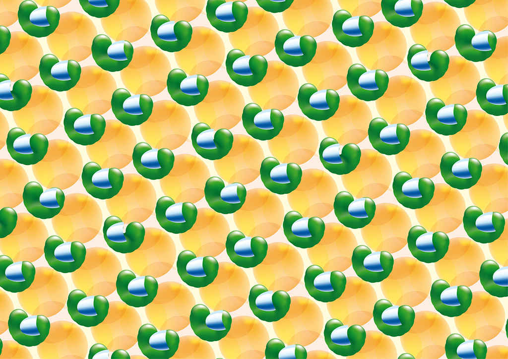 stereoscopies-cornichon