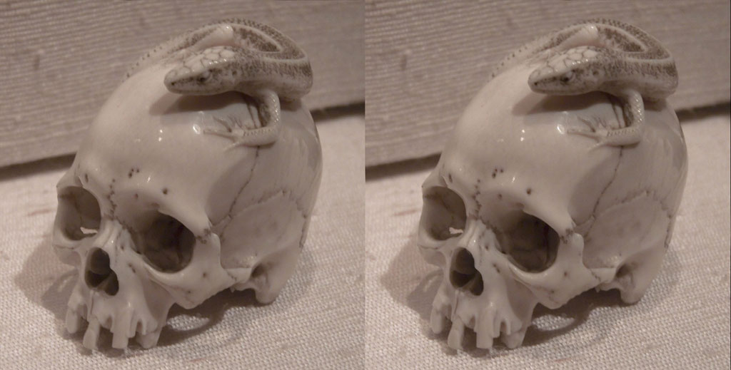 stereoscopies-craneLezard