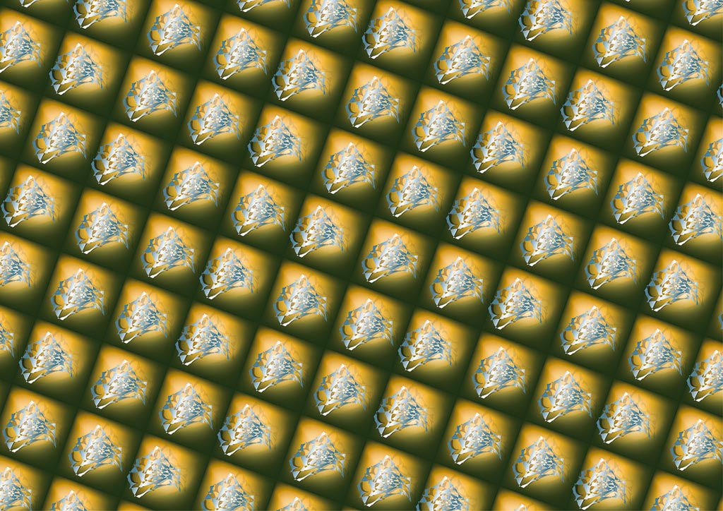 stereoscopies-dentellegrise