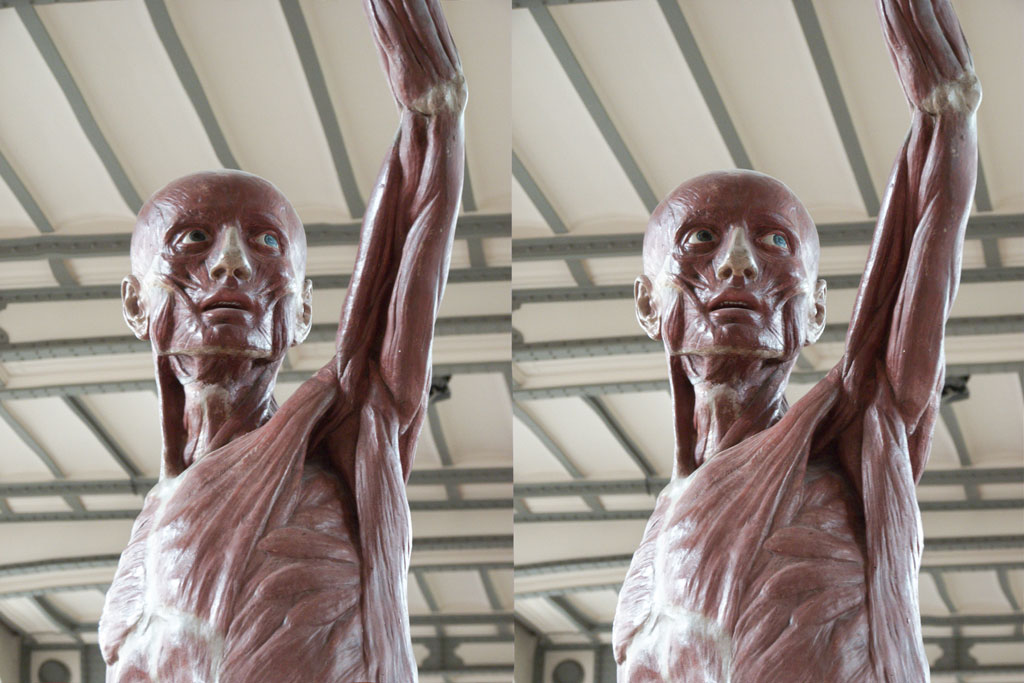 Jacques Raffin's stereoscopies