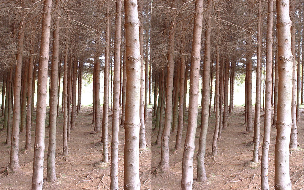 Jacques Raffin's stereoscopies