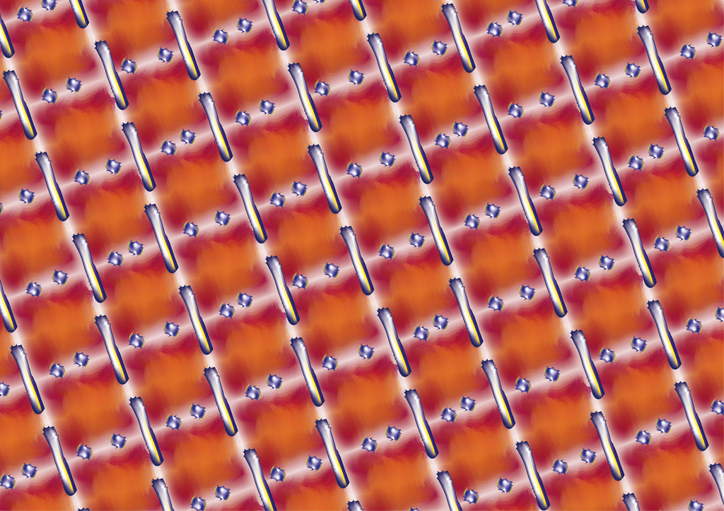 stereoscopies-fritevelue