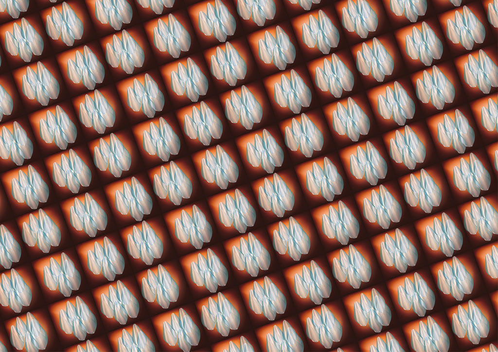 stereoscopies-gouttesfdorange