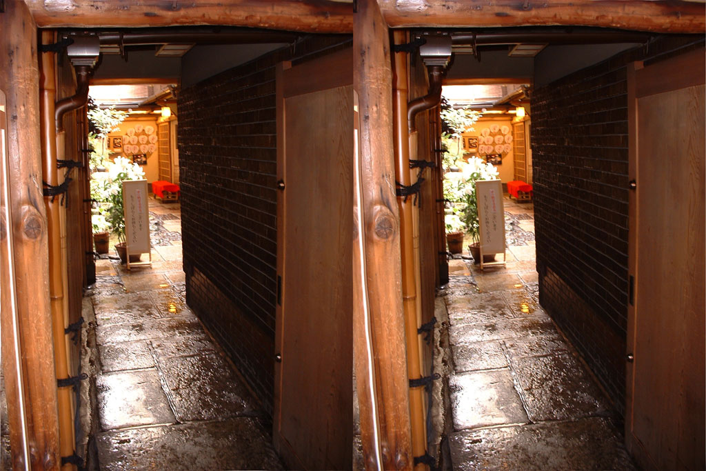 stereoscopies-interiorjap