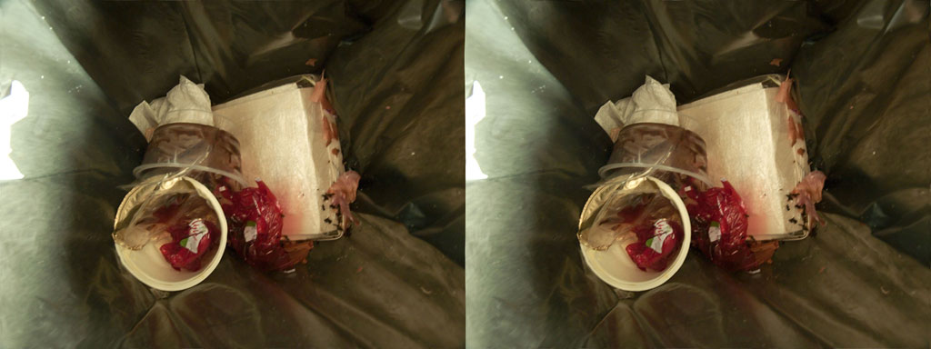 stereoscopies-inthetrashcan