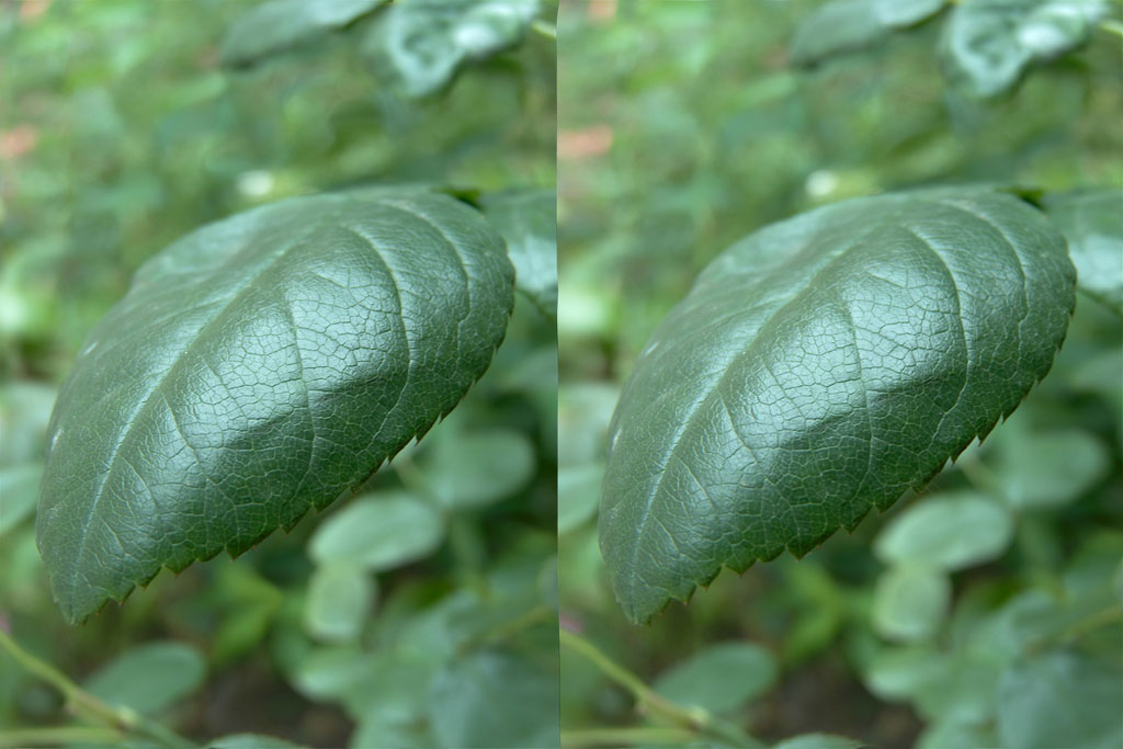 stereoscopies-nubienneLouvre