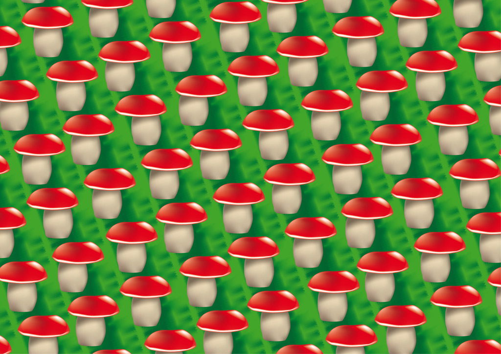 stereoscopies-mushroom