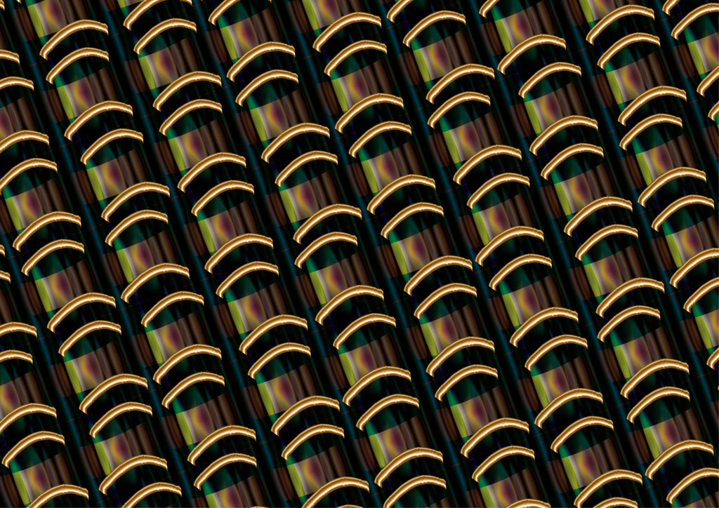 stereoscopies-poigneesdor