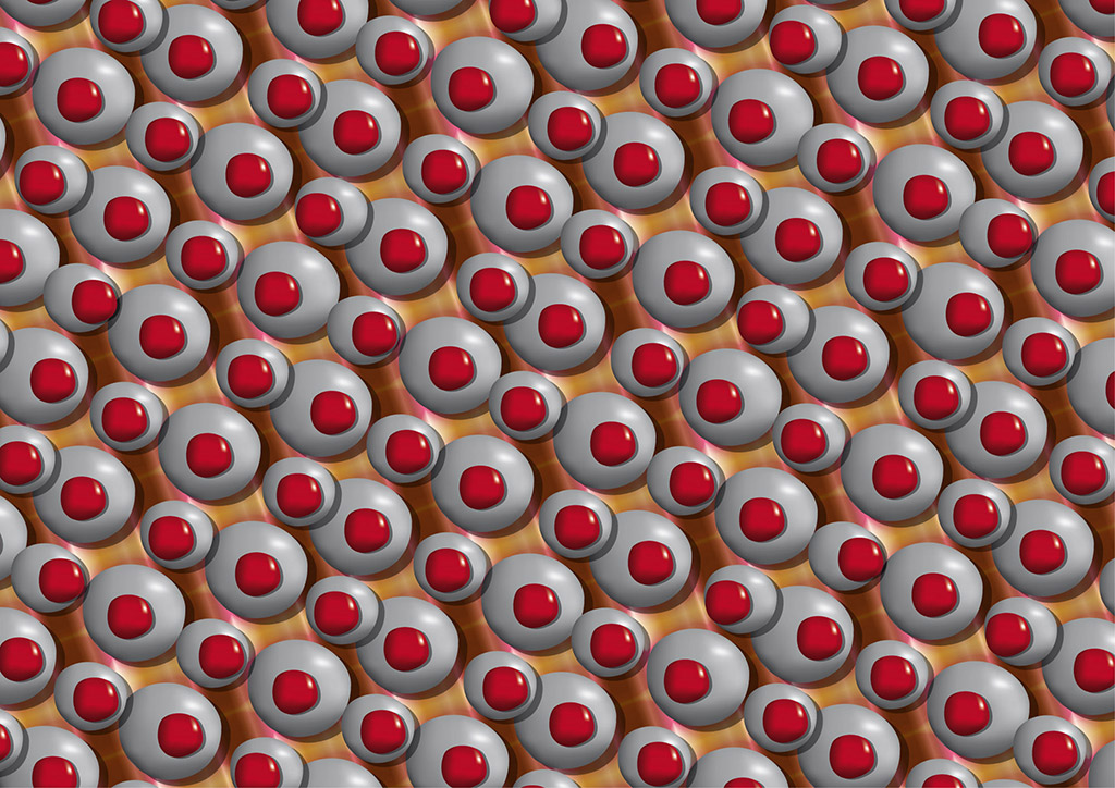 stereoscopies-poisgrispoisred2