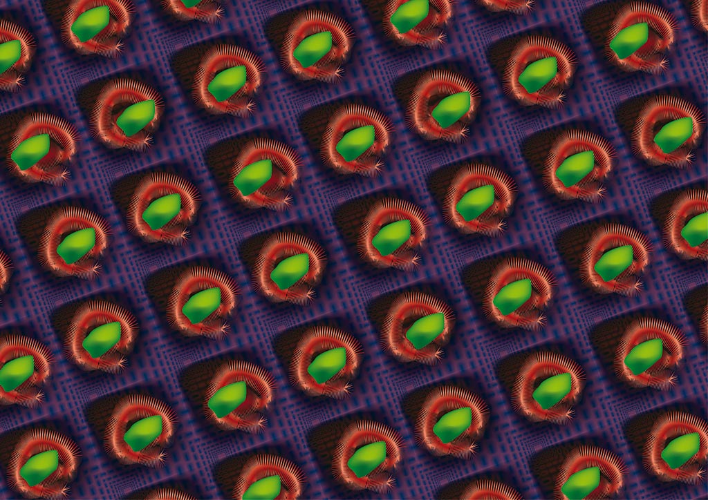 stereoscopies-redScolopfdcaissonsmauves