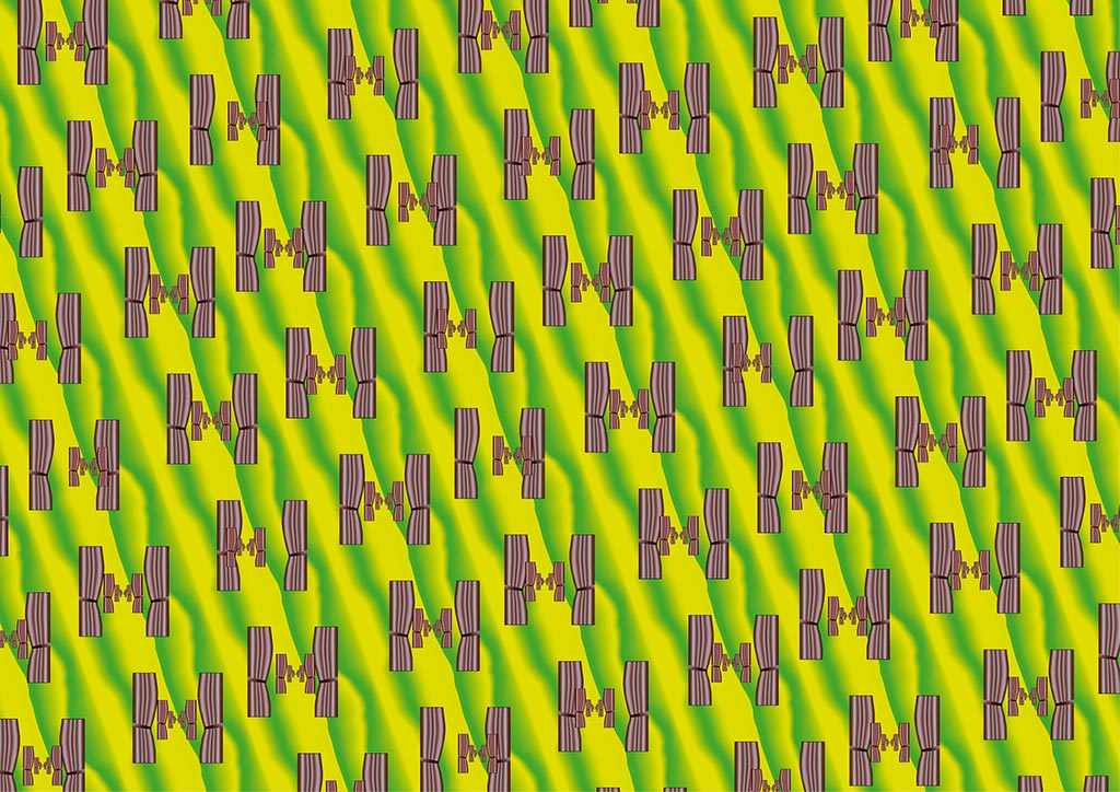 stereoscopies-ridocuir