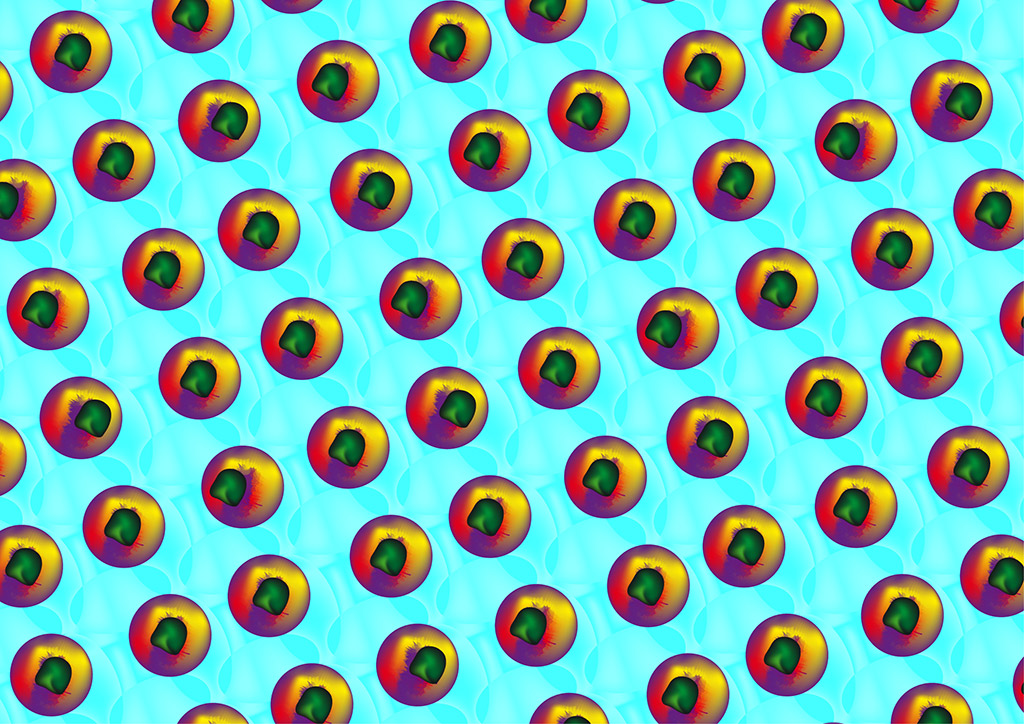 stereoscopies-rondchewing