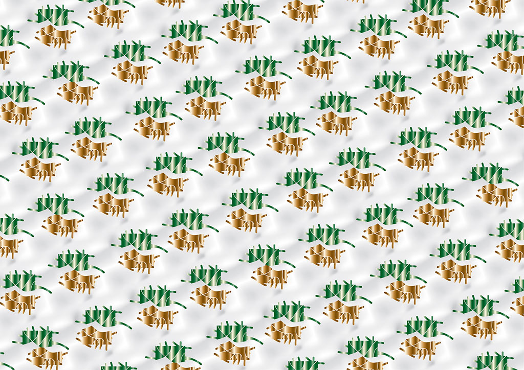 stereoscopies-schmollsbicolo