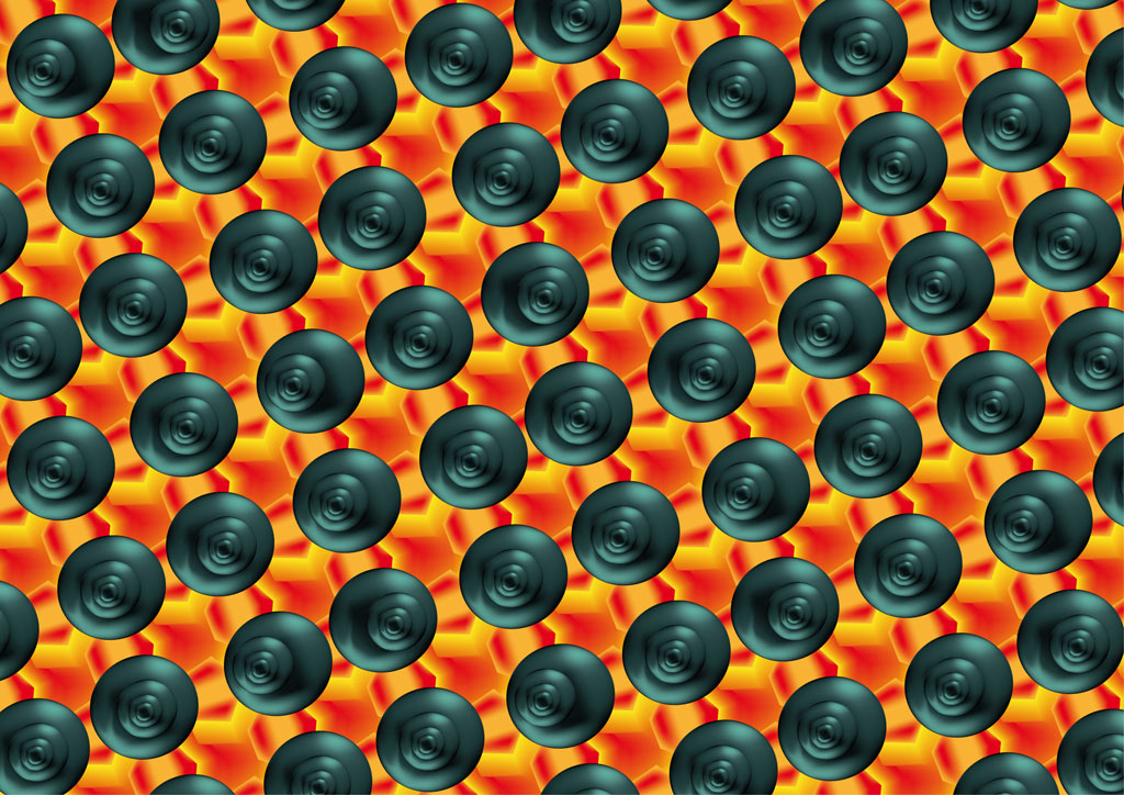 stereoscopies-snails