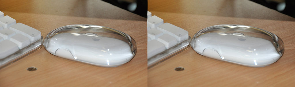 stereoscopies-souris