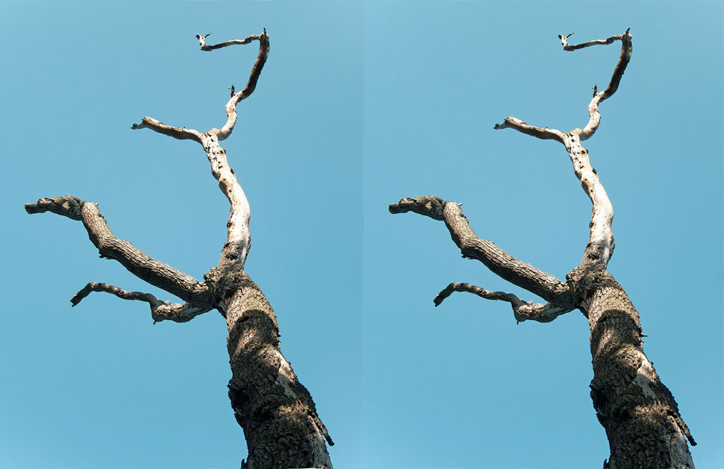 stereoscopies-nubienneLouvre