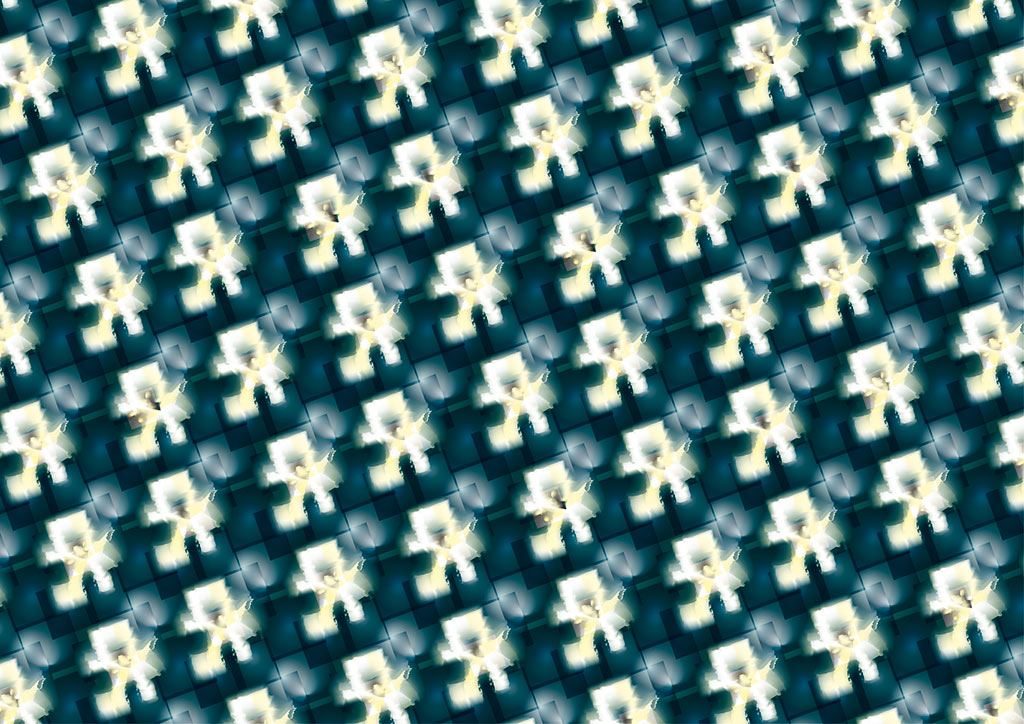 stereoscopies-whitestuff