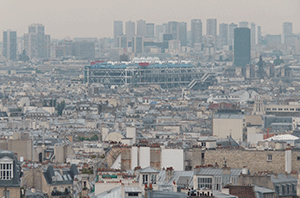 une tête d'ibis égyptien