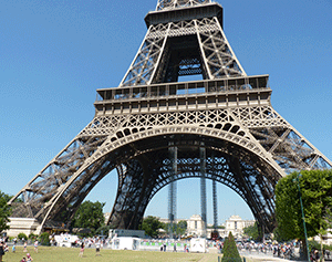 dinosaures dans l'ombre