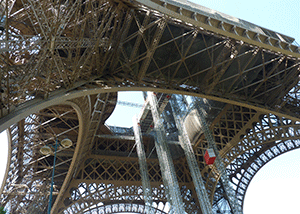 un beau poisson jaune