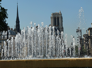 un pigeon roux et blanc