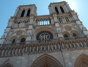 une tête d'ibis égyptien