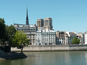 de gros fruits rouges