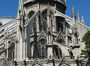 un papillon sur une feuille