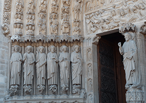 un pigeon roux et blanc