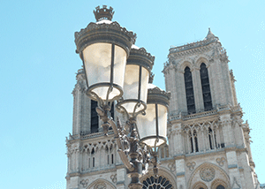 de gros fruits rouges