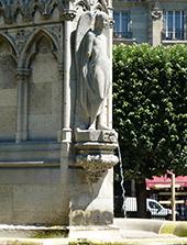 dinosaures dans l'ombre