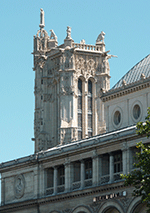 dinosaures dans l'ombre