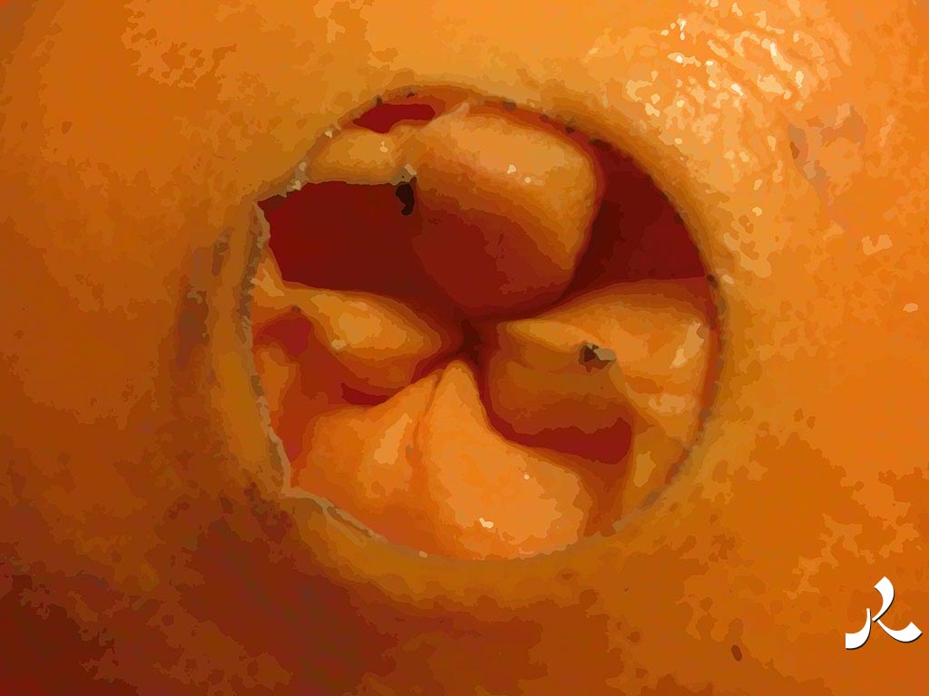 la bouche d'une orange ?