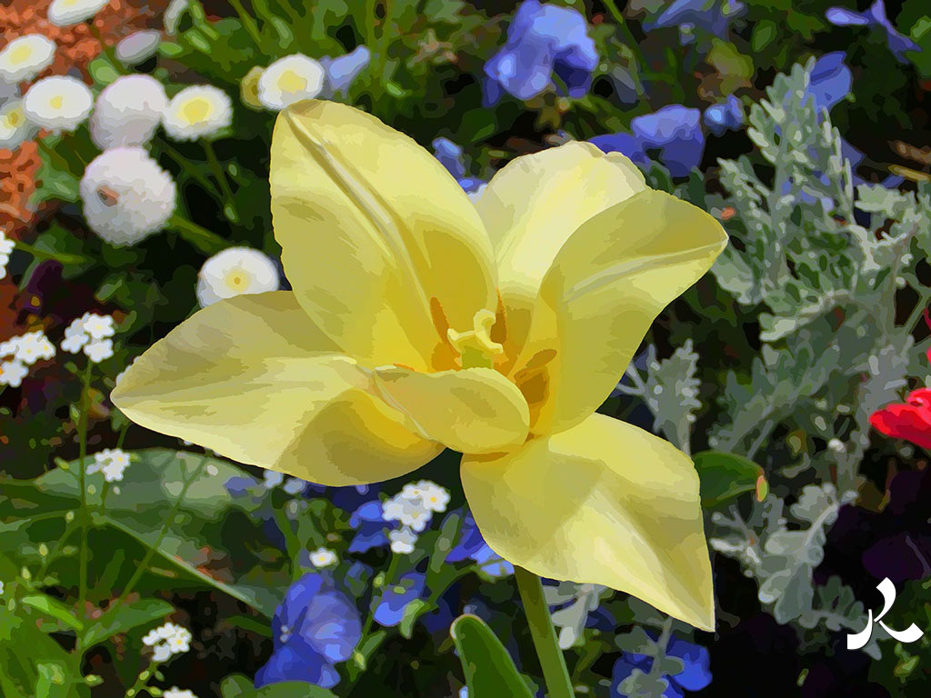 fleur jaune délicate