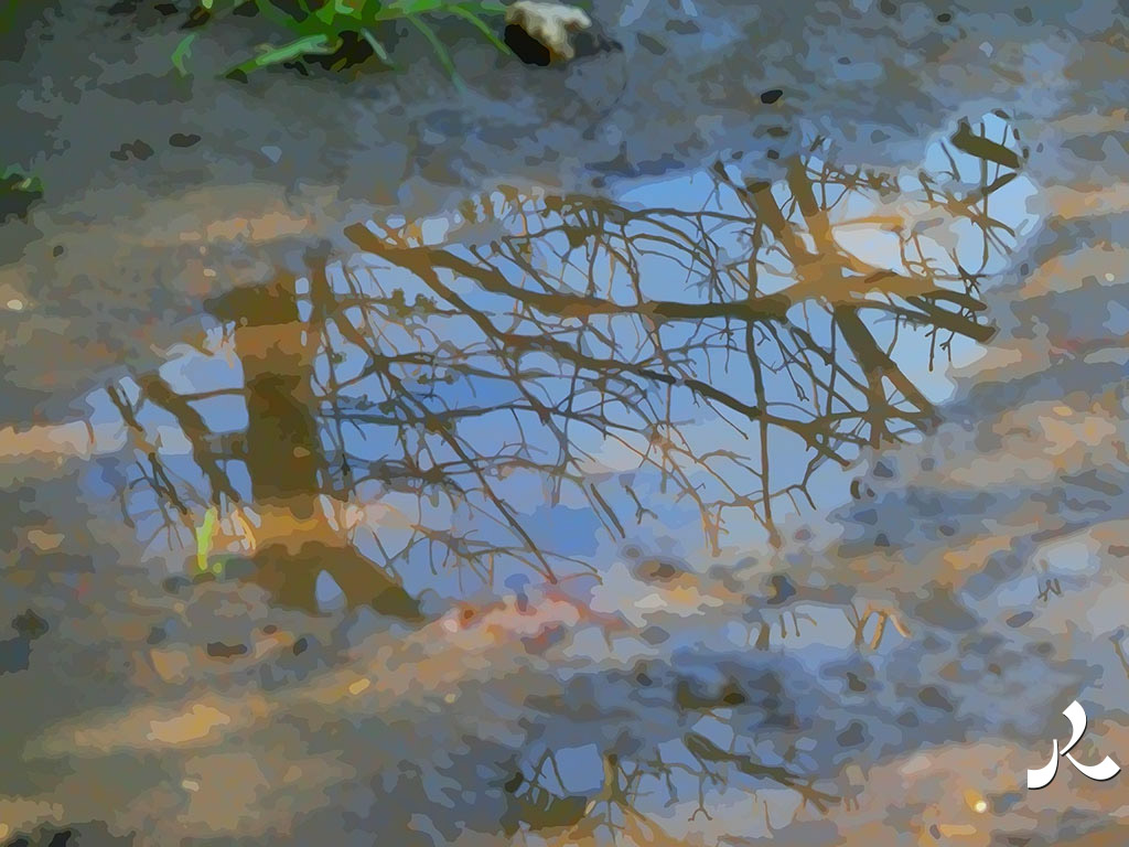 une flaque d'eau