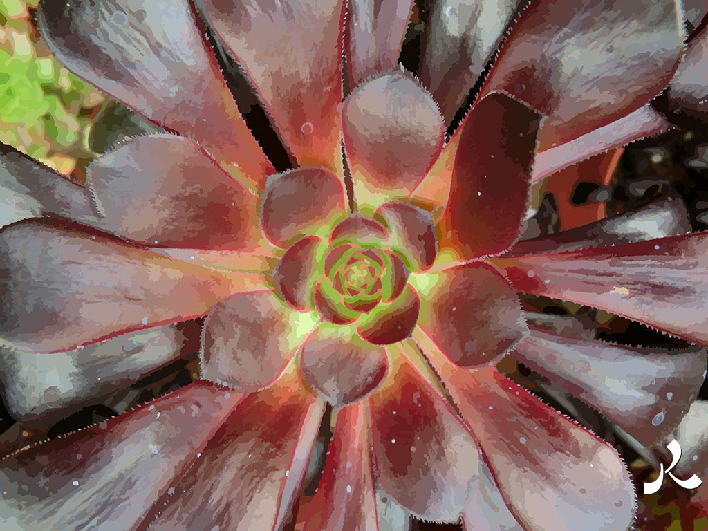 plante marron artichaude