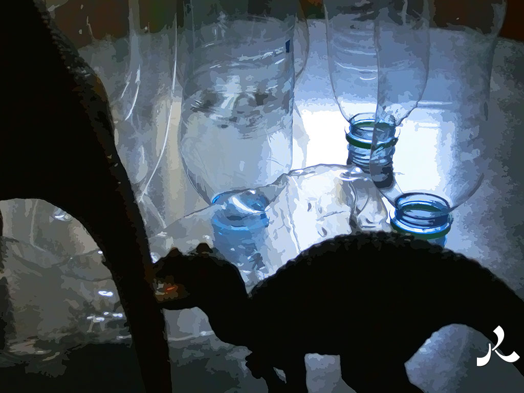 dinosaures à contre-jour