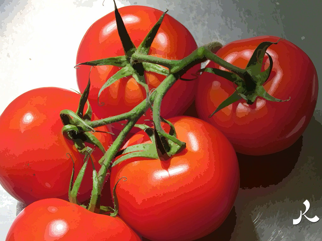 tomates en branche