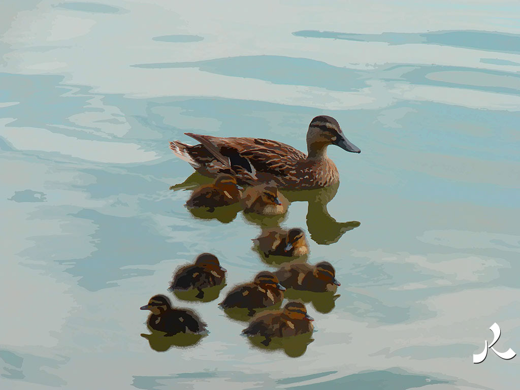 famille mono-parentale canard
