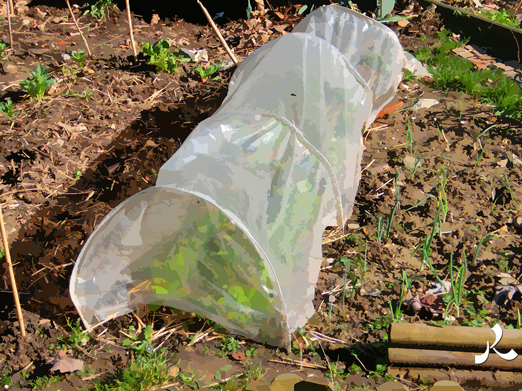 plastique de mon jardin ?
