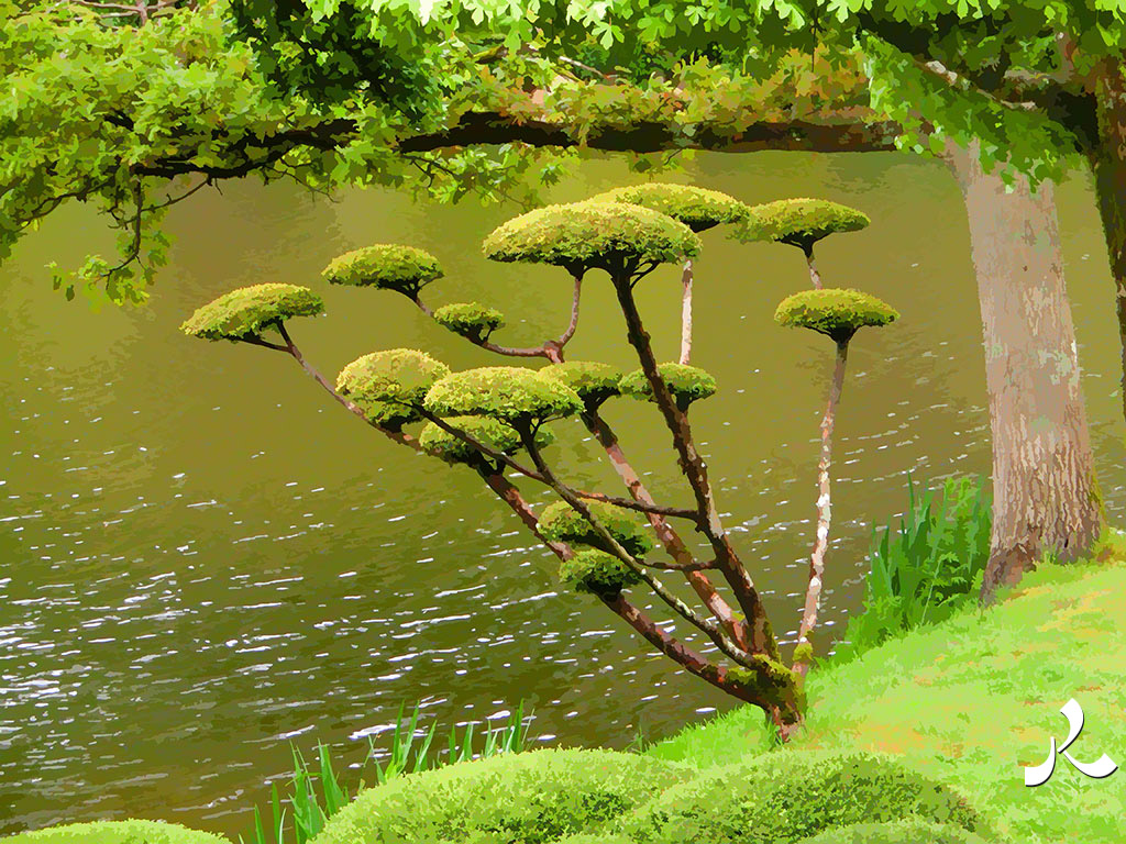 arbre taillé à Maulévrier