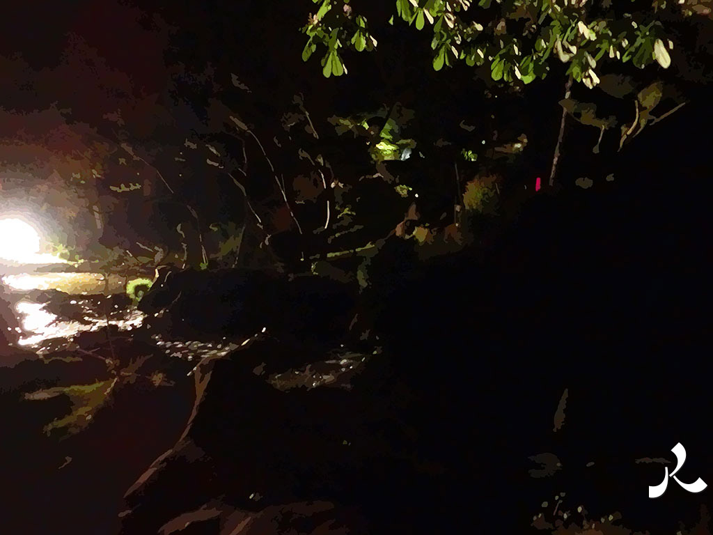 la nuit à Maulévrier