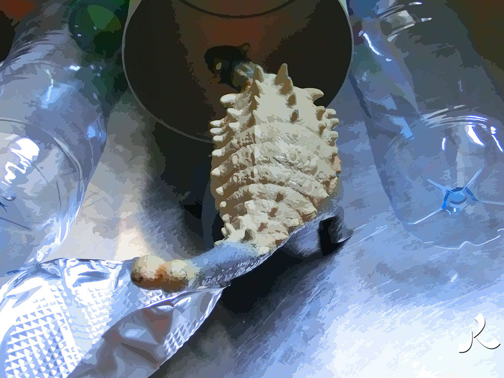 dinosaure en exploration dans la cuisine