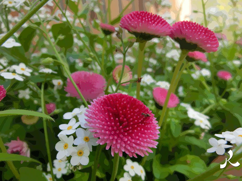fleurs roses délicates
