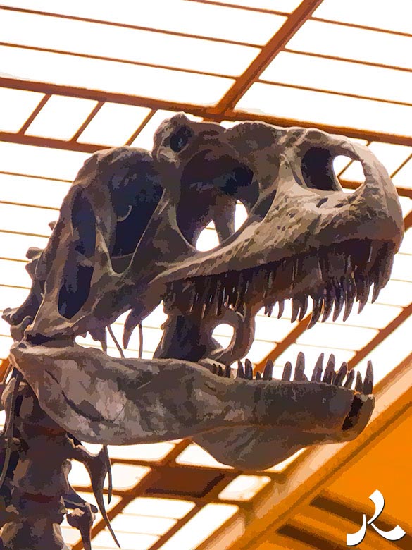 tête de tyrannosaure