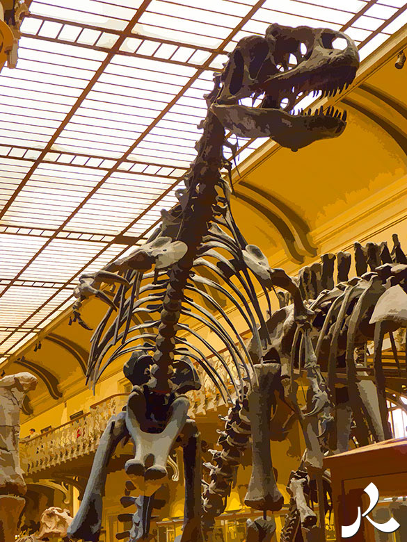 T-Rex en squelette