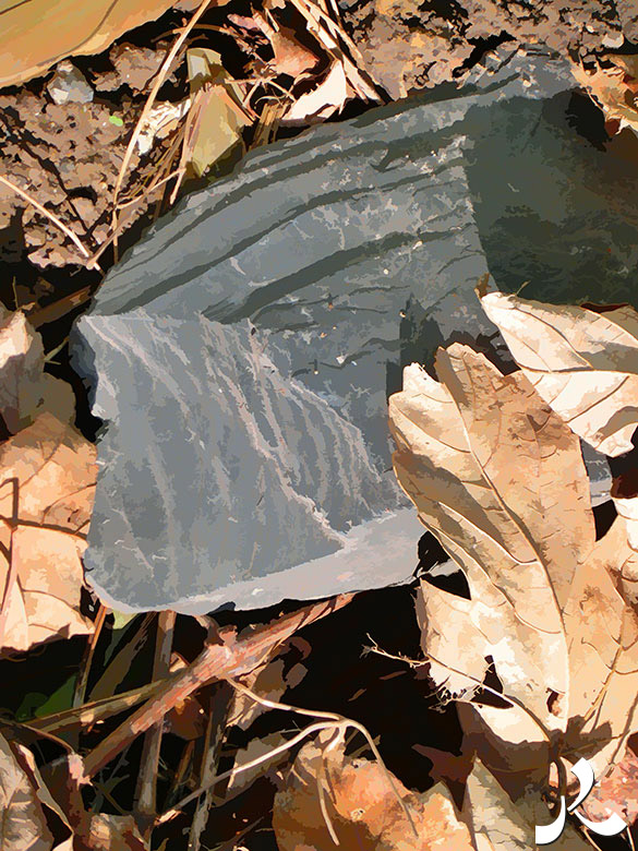 une ardoise sous les feuilles