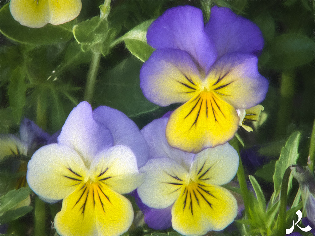 Des images et des maux…